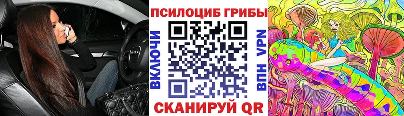 Псилоцибиновые грибы Cubensis  площадка клад  Любань  где купить наркоту 